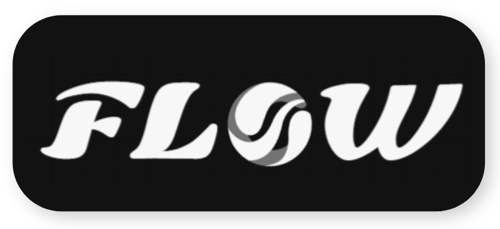 flow sport group
